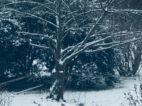 a36c59da-2d96-493d-9443-c4683b626011